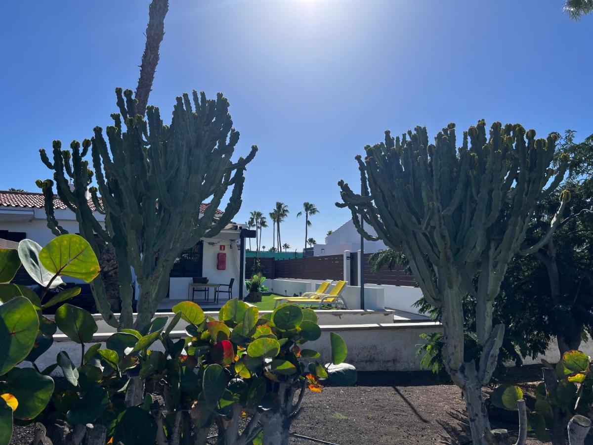 Escarabajo Bungalow Il Maggiolino Maspalomas  Exteriér fotografie